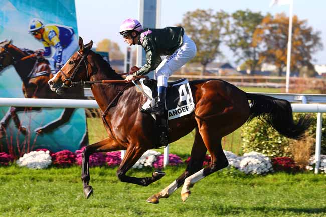 Photo d'arrivée de la course pmu PRIX DE BOUCHEMAINE à ANGERS le Mercredi 15 novembre 2017