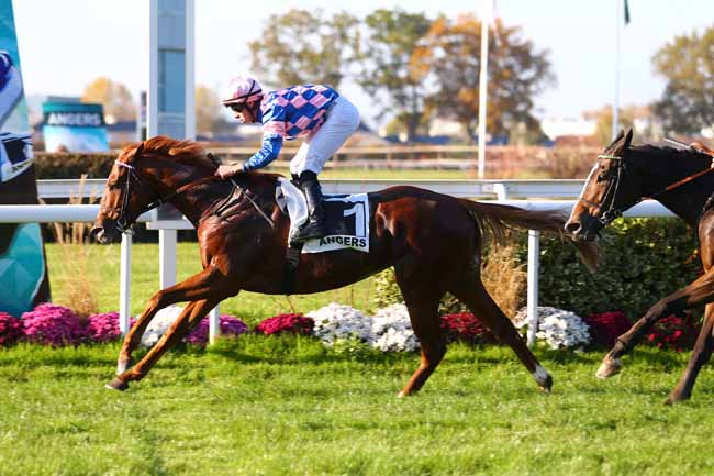 Photo d'arrivée de la course pmu PRIX GEORGES CADIOU à ANGERS le Mercredi 15 novembre 2017