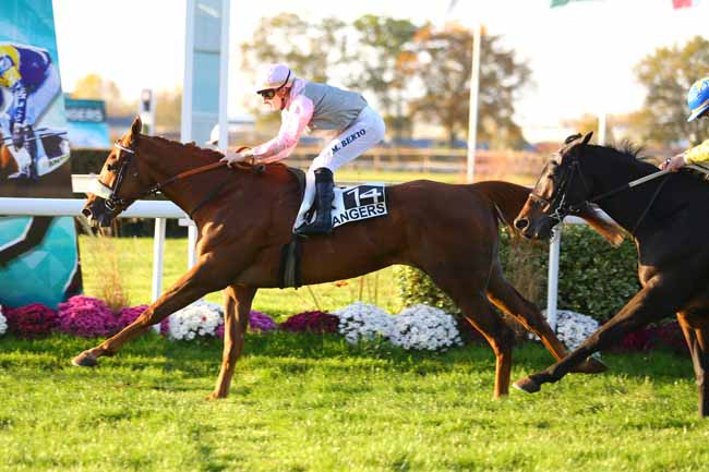 Photo d'arrivée de la course pmu PRIX HENRI CHEVALIER DU FAU à ANGERS le Mercredi 15 novembre 2017