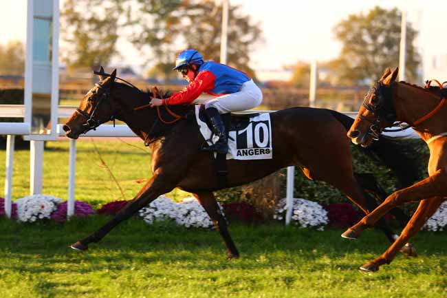Photo d'arrivée de la course pmu PRIX PLANTAGENET à ANGERS le Mercredi 15 novembre 2017
