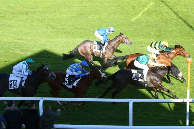 Photo d'arrivée de la course pmu PRIX DE LA SAPINIERE à FONTAINEBLEAU le Jeudi 16 novembre 2017