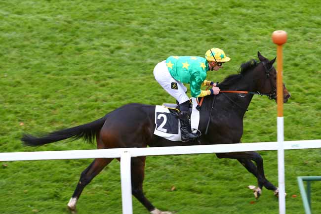 Photo d'arrivée de la course pmu PRIX D'EVRY à FONTAINEBLEAU le Jeudi 16 novembre 2017