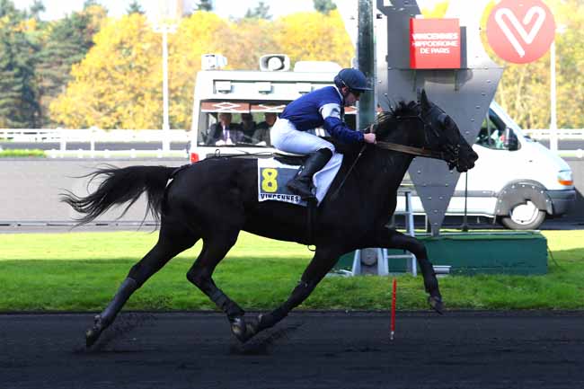 Photo d'arrivée de la course pmu PRIX DU GRAND-FOUGERAY à PARIS-VINCENNES le Jeudi 16 novembre 2017