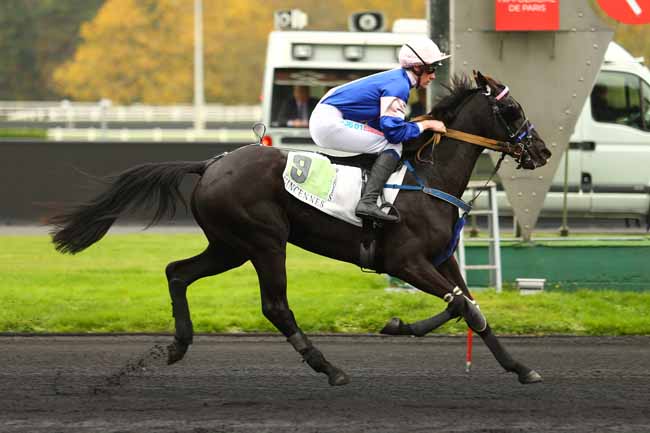 Photo d'arrivée de la course pmu PRIX DE VALENCIENNES à PARIS-VINCENNES le Jeudi 16 novembre 2017