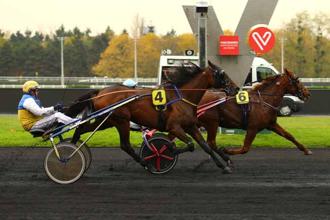 Photo d'arrivée de la course pmu PRIX DE CASTRES à PARIS-VINCENNES le Jeudi 16 novembre 2017