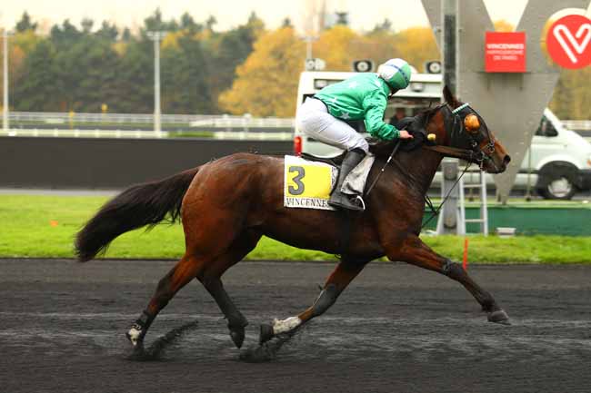 Photo d'arrivée de la course pmu PRIX DE MIRAMONT-DE-GUYENNE à PARIS-VINCENNES le Jeudi 16 novembre 2017