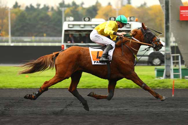 Photo d'arrivée de la course pmu PRIX DE L'ILE D'OLERON à PARIS-VINCENNES le Jeudi 16 novembre 2017