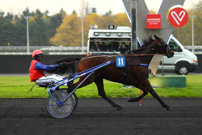 Photo d'arrivée de la course pmu PRIX DE BELFORT à PARIS-VINCENNES le Jeudi 16 novembre 2017