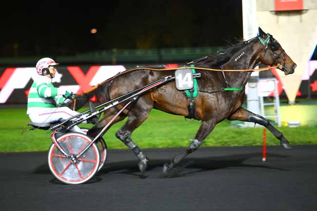 Photo d'arrivée de la course pmu PRIX MIZAR à PARIS-VINCENNES le Vendredi 17 novembre 2017
