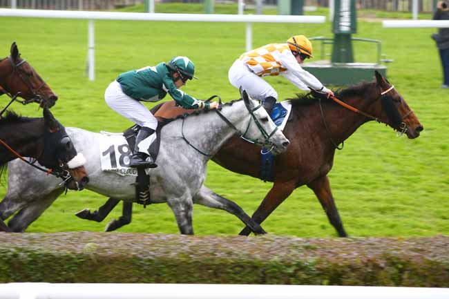 Photo d'arrivée de la course pmu PRIX CHUCHOTEUR à SAINT-CLOUD le Vendredi 17 novembre 2017