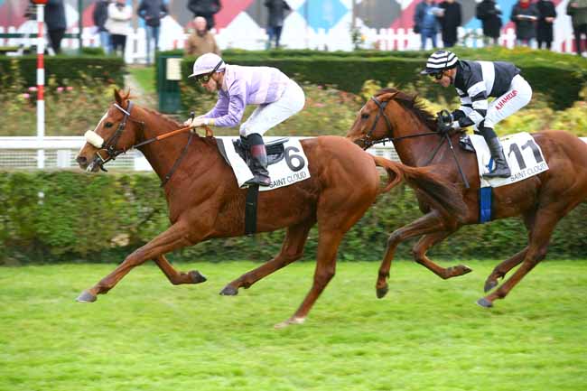 Photo d'arrivée de la course pmu PRIX INCERTITUDE à SAINT-CLOUD le Vendredi 17 novembre 2017