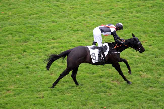 Photo d'arrivée de la course pmu PRIX FALZAREGO à AUTEUIL le Samedi 18 novembre 2017