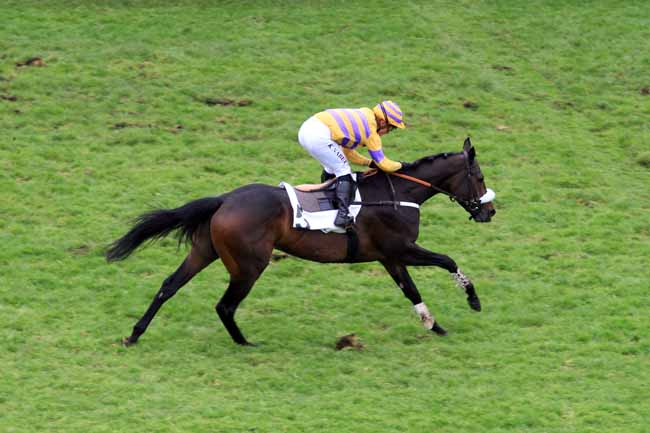 Photo d'arrivée de la course pmu PRIX ELSENEUR à AUTEUIL le Samedi 18 novembre 2017