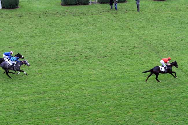 Photo d'arrivée de la course pmu PRIX DE BEAUGENCY à AUTEUIL le Samedi 18 novembre 2017