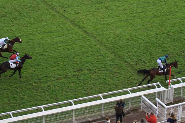 Photo d'arrivée de la course pmu PRIX GERARD PHILIPPEAU à AUTEUIL le Samedi 18 novembre 2017