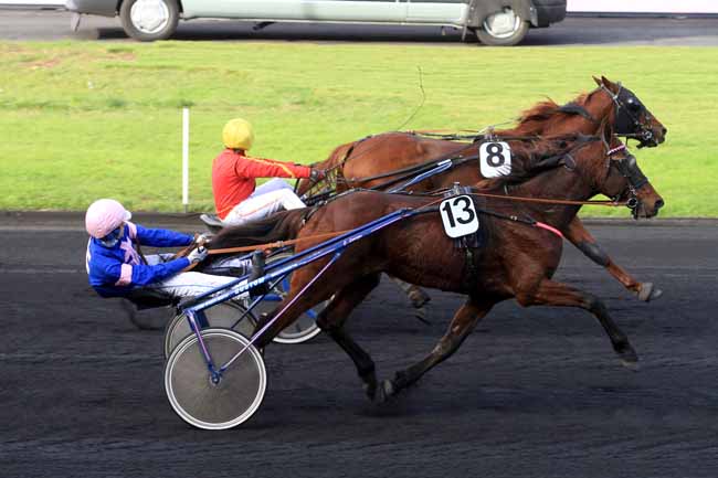 Photo d'arrivée de la course pmu COUPE DES AMATEURS (GR B) à PARIS-VINCENNES le Dimanche 19 novembre 2017