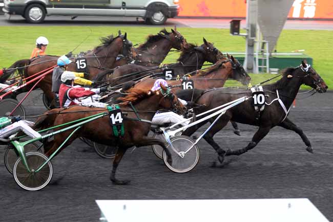 Photo d'arrivée de la course pmu PRIX DE MONTIGNAC-CHARENTE à PARIS-VINCENNES le Lundi 20 novembre 2017