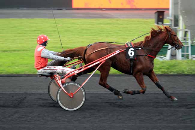 Photo d'arrivée de la course pmu PRIX DE LOUDUN à PARIS-VINCENNES le Lundi 20 novembre 2017