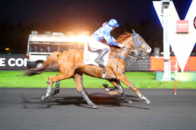 Photo d'arrivée de la course pmu PRIX DE CORMELLES à PARIS-VINCENNES le Lundi 20 novembre 2017