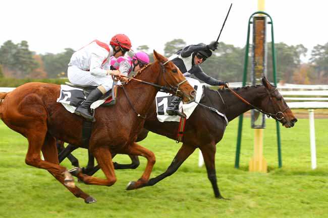 Photo d'arrivée de la course pmu PRIX DE LA ROUTE DES DEUX SOEURS à FONTAINEBLEAU le Lundi 20 novembre 2017