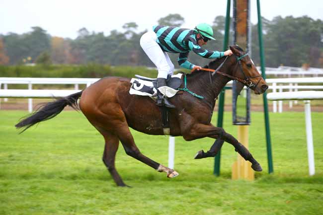 Photo d'arrivée de la course pmu PRIX DE THOMERY à FONTAINEBLEAU le Lundi 20 novembre 2017