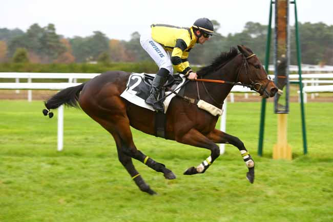 Photo d'arrivée de la course pmu PRIX DES GRANDS FEUILLARDS à FONTAINEBLEAU le Lundi 20 novembre 2017