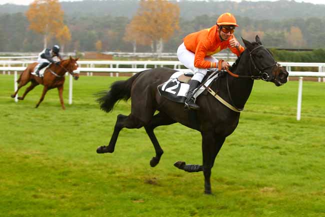 Photo d'arrivée de la course pmu PRIX PATRICE QUENEDEY à FONTAINEBLEAU le Lundi 20 novembre 2017