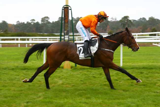 Photo d'arrivée de la course pmu PRIX DE SAINT-FARGEAU PONTHIERRY à FONTAINEBLEAU le Lundi 20 novembre 2017