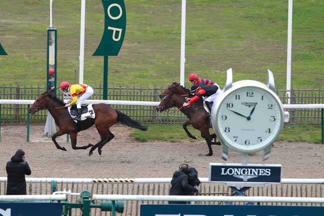 Photo d'arrivée de la course pmu PRIX DE LA ROUTE RONDE à CHANTILLY le Mardi 21 novembre 2017