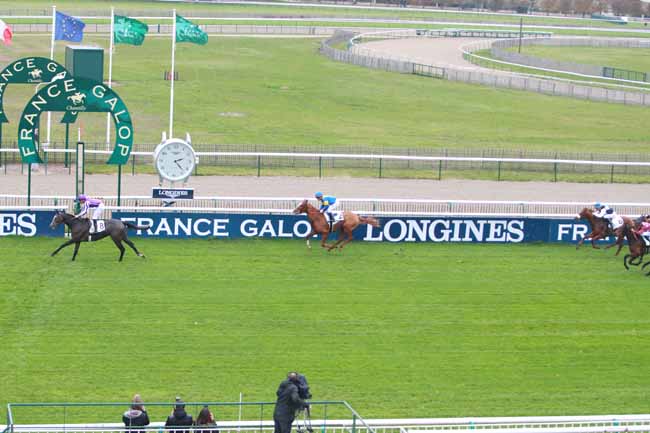 Photo d'arrivée de la course pmu PRIX HEROD à CHANTILLY le Mardi 21 novembre 2017