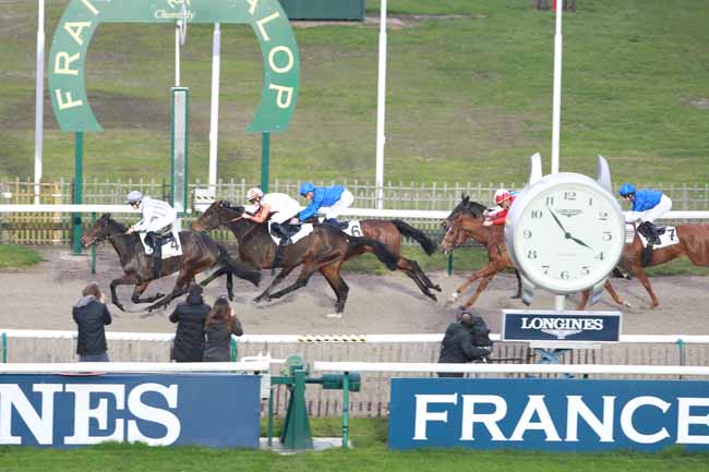 Photo d'arrivée de la course pmu PRIX DES BICHES à CHANTILLY le Mardi 21 novembre 2017