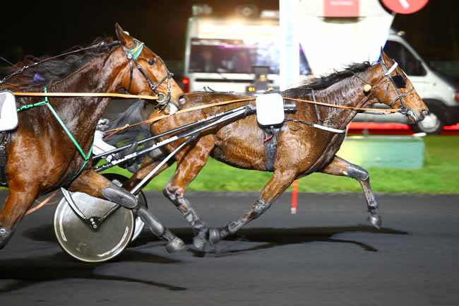 Photo d'arrivée de la course pmu PRIX EURYNOME à PARIS-VINCENNES le Mardi 21 novembre 2017