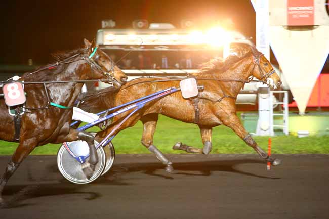 Photo d'arrivée de la course pmu PRIX TERCIDINA (GR B) à PARIS-VINCENNES le Mardi 21 novembre 2017