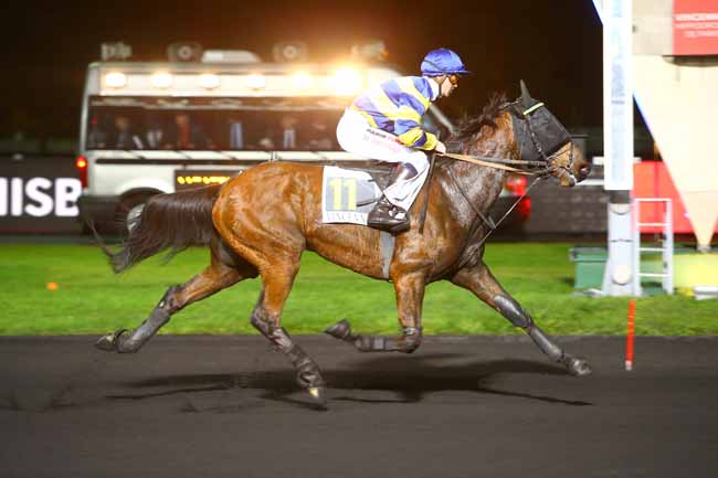 Photo d'arrivée de la course pmu PRIX THISBE à PARIS-VINCENNES le Mardi 21 novembre 2017