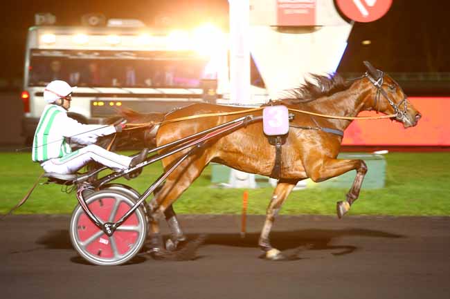 Photo d'arrivée de la course pmu PRIX POLYXO à PARIS-VINCENNES le Mardi 21 novembre 2017