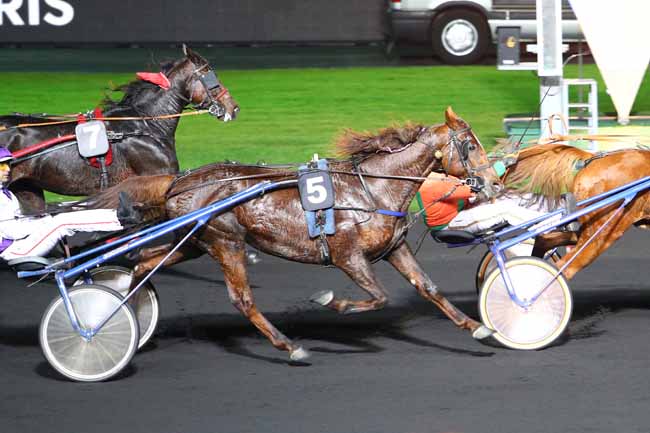 Photo d'arrivée de la course pmu PRIX TRITON à PARIS-VINCENNES le Vendredi 24 novembre 2017