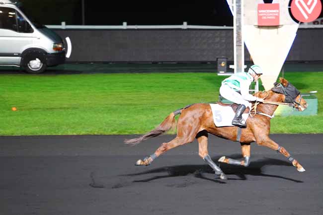 Photo d'arrivée de la course pmu PRIX HERMENTARIA (GR A) à PARIS-VINCENNES le Vendredi 24 novembre 2017