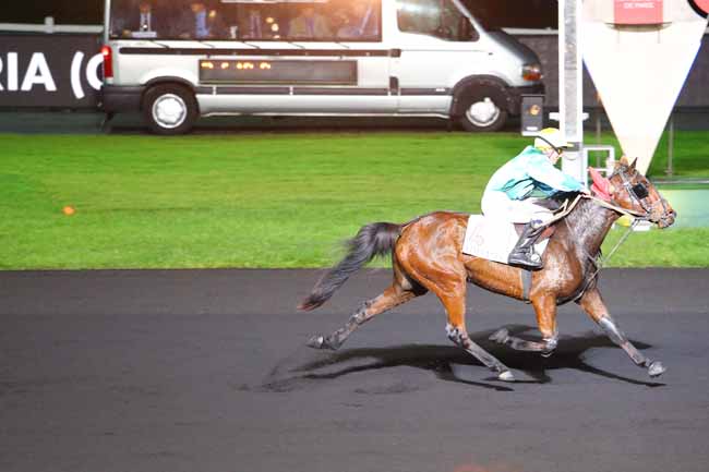 Photo d'arrivée de la course pmu PRIX HERMENTARIA (GR B) à PARIS-VINCENNES le Vendredi 24 novembre 2017