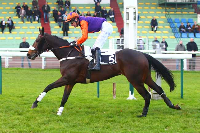 Photo d'arrivée de la course pmu PRIX HAMILTON à COMPIEGNE le Vendredi 24 novembre 2017