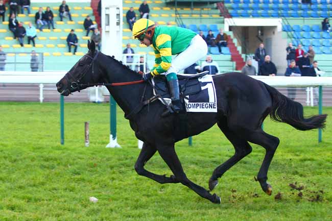 Photo d'arrivée de la course pmu PRIX DES COUDRAIES à COMPIEGNE le Vendredi 24 novembre 2017
