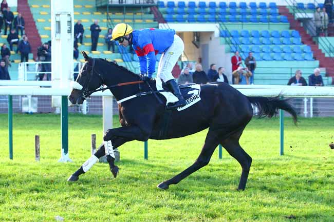 Photo d'arrivée de la course pmu PRIX DE CRAON à COMPIEGNE le Vendredi 24 novembre 2017