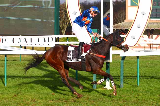 Photo d'arrivée de la course pmu PRIX GENERAL DE SAINT-DIDIER à COMPIEGNE le Vendredi 24 novembre 2017