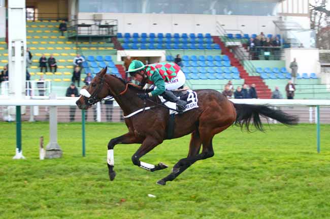 Photo d'arrivée de la course pmu PRIX LEOPOLD D'ORSETTI - GRANDE COURSE DE HAIES DE COMPIEGNE à COMPIEGNE le Vendredi 24 novembre 2017