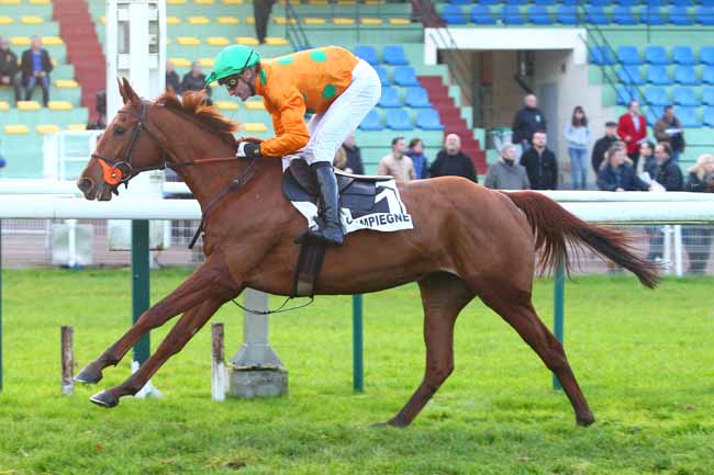 Photo d'arrivée de la course pmu PRIX LEOPOLD BARA à COMPIEGNE le Vendredi 24 novembre 2017