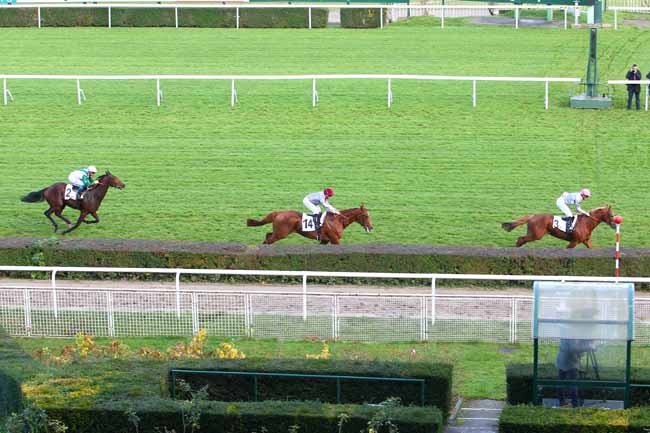 Photo d'arrivée de la course pmu PRIX KANTAR à SAINT-CLOUD le Vendredi 24 novembre 2017