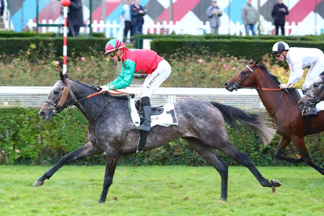 Photo d'arrivée de la course pmu PRIX DE SAINT-PAIR-DU-MONT à SAINT-CLOUD le Vendredi 24 novembre 2017