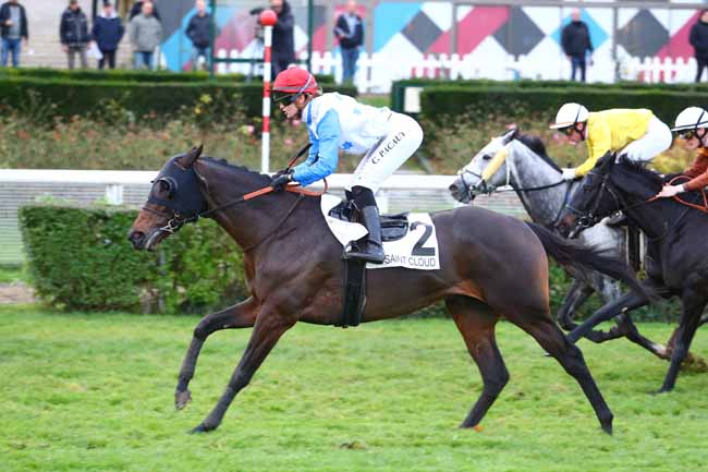 Photo d'arrivée de la course pmu PRIX DE SAINT-MARTIN-DU-CHENE à SAINT-CLOUD le Vendredi 24 novembre 2017