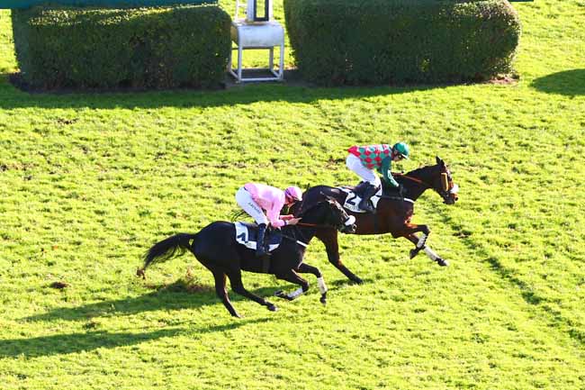 Photo d'arrivée de la course pmu PRIX NUPSALA à AUTEUIL le Dimanche 26 novembre 2017