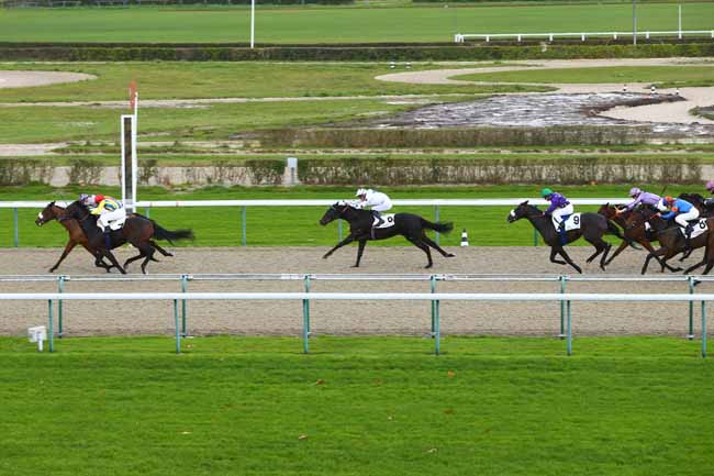 Photo d'arrivée de la course pmu PRIX DE LA CHEVALERIE à DEAUVILLE le Mercredi 29 novembre 2017