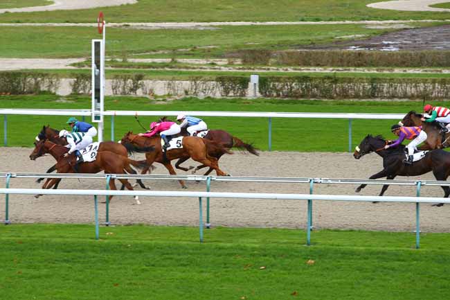 Photo d'arrivée de la course pmu PRIX LYPHARD à DEAUVILLE le Mercredi 29 novembre 2017